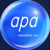 apa logo