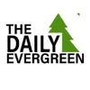 dailyevergreen logo