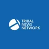 tnnenglish logo