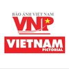 wnpvietnam logo